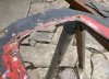 IMG_2903.jpeg