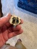 IMG_2817.jpeg
